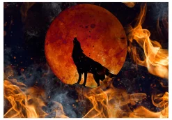 Tapete 'Wolf on Fire'