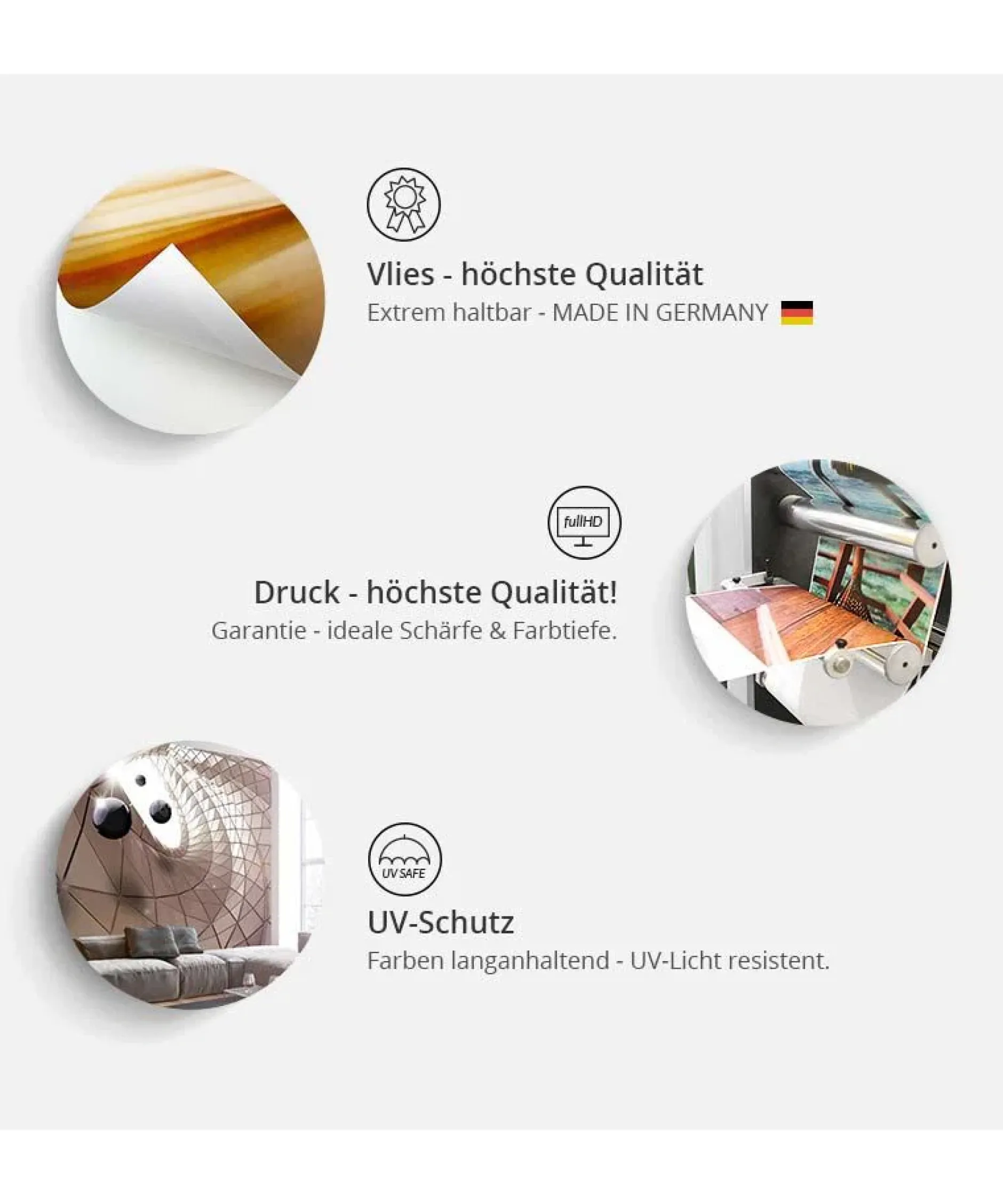 Tapete 'Zebra Land'