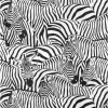 Tapete 'Zebra Parade' 159x280cm