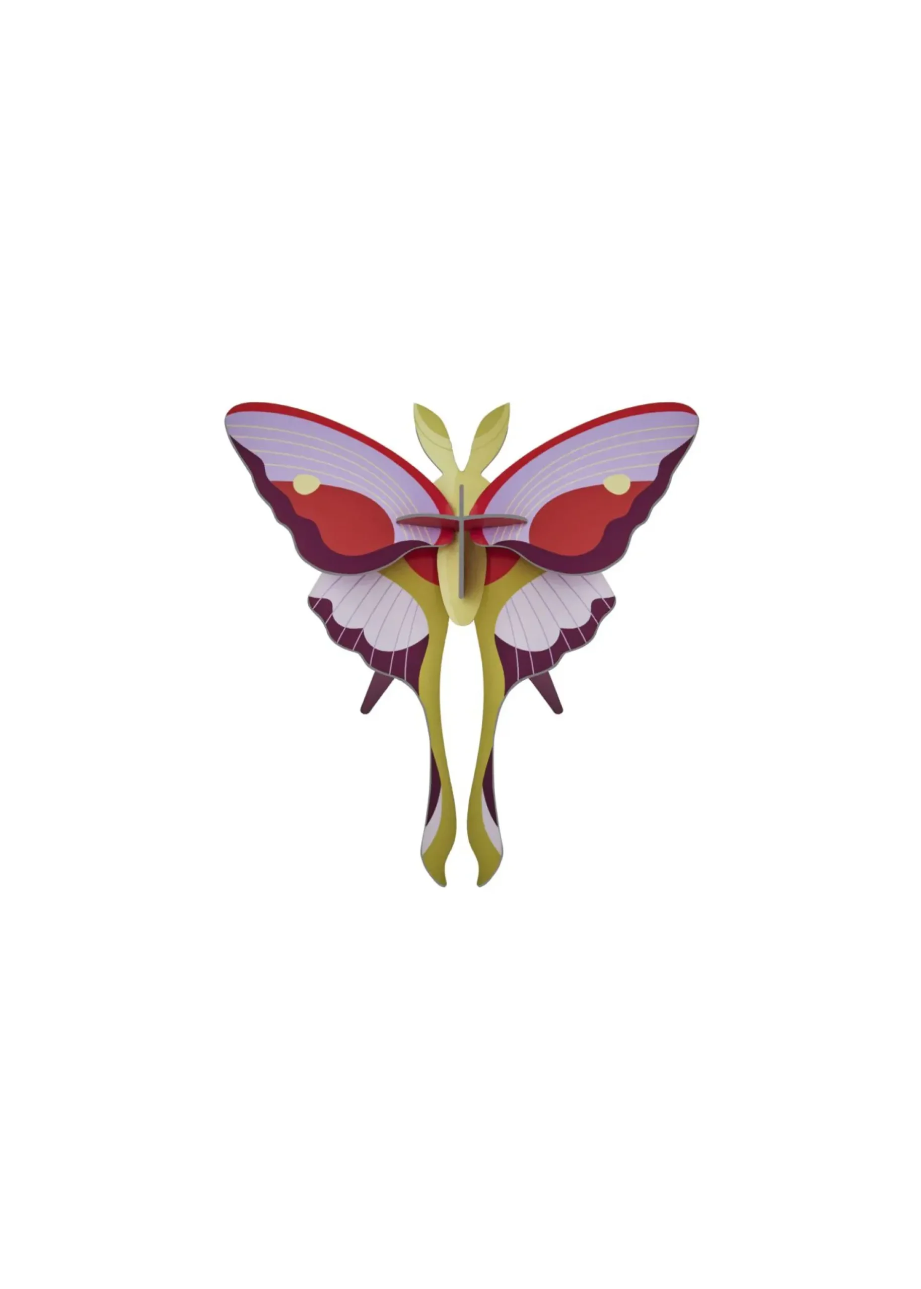 Wanddeko Papier 'Elegante Mottenflügel'