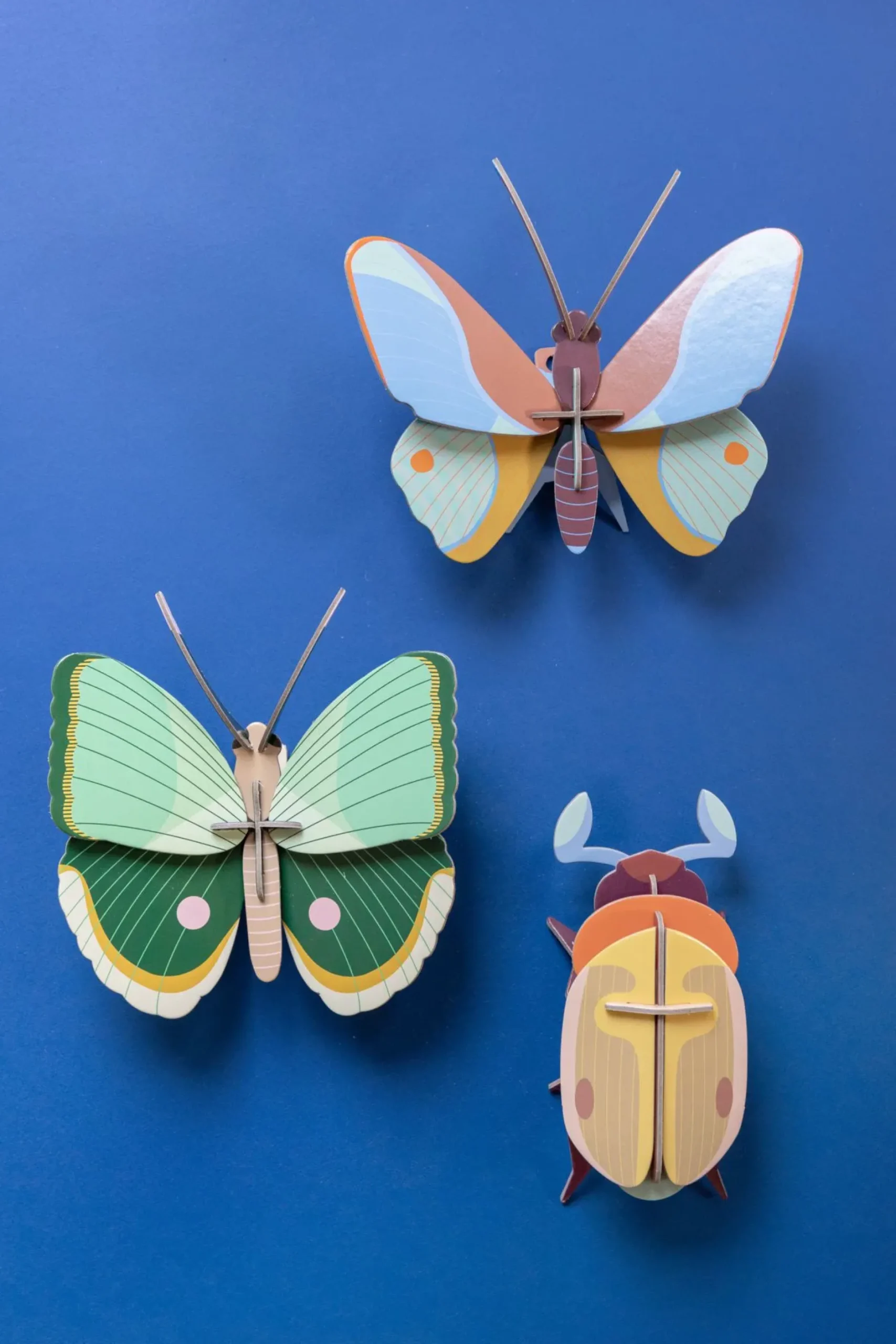 Wanddeko Papier 'Gedämpfter Käfer'