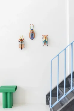 Wanddeko Papier 'Geweihkäfer mit Kamm'