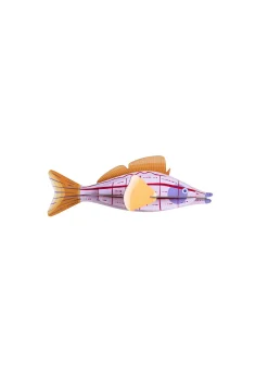 Wanddeko Papier 'Kreativer Fisch'