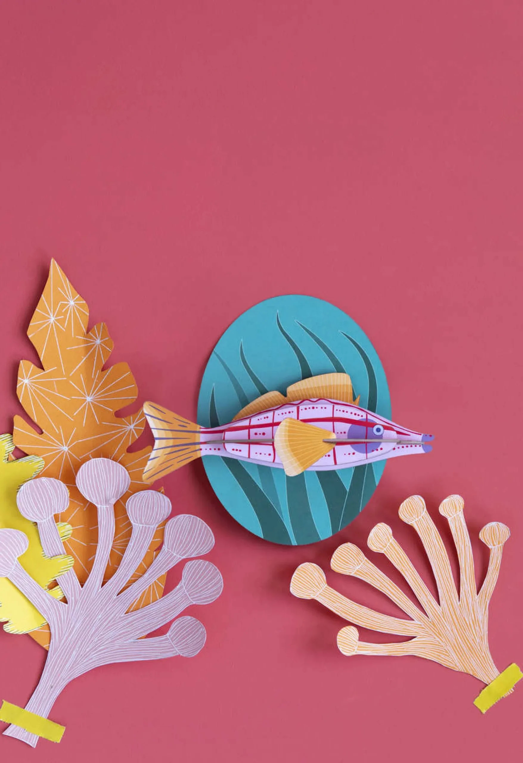 Wanddeko Papier 'Langnasen-Falkenfisch'