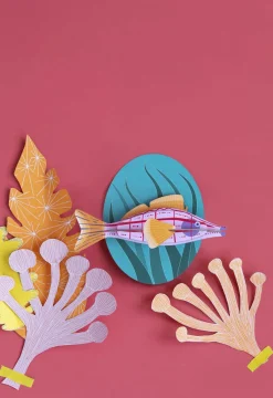 Wanddeko Papier 'Langnasen-Falkenfisch'