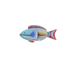 Wanddeko Papier 'Regenbogen-Papageifisch'