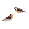 Wanddeko Papier 'Spatzen-Duo'