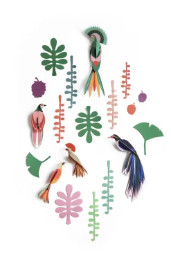 Wanddeko Papier 'Vogel-Set'