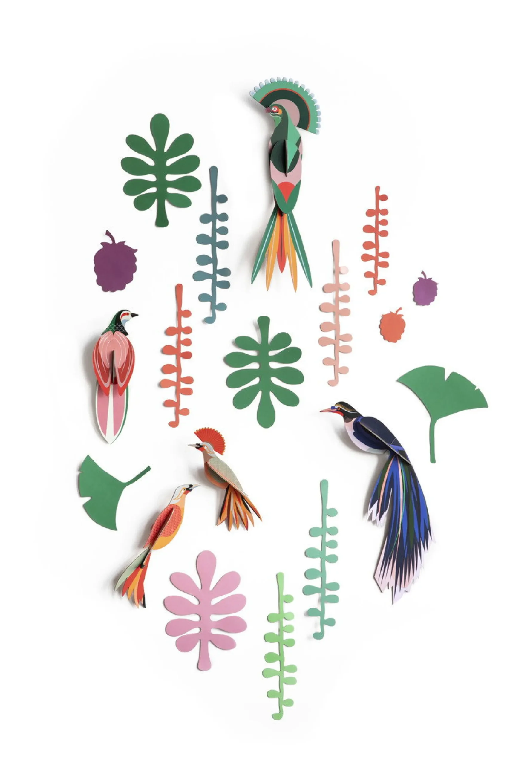 Wanddeko Papier 'Vogel-Set'