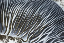 XXL Öl Gemälde 'Beauty of Details' | Handgemaltes Unikat