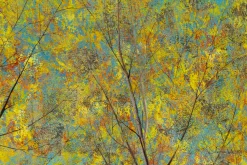 XXL Öl Gemälde 'Birches in Turquoise' | Handgemaltes Unikat