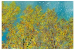 XXL Öl Gemälde 'Birches in Turquoise' | Handgemaltes Unikat