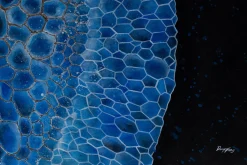 XXL Öl Gemälde 'Blaues Korallenriff' | Handgemaltes Unikat