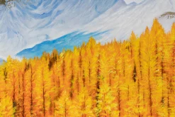 XXL Öl Gemälde 'Essence of Autumn' | Handgemaltes Unikat