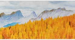 XXL Öl Gemälde 'Essence of Autumn' | Handgemaltes Unikat
