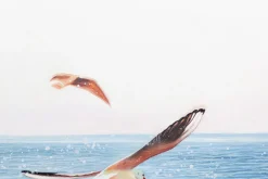 XXL Öl Gemälde 'Gliding Seagulls' | Handgemaltes Unikat