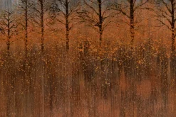 XXL Öl Gemälde 'Goldene Herbstbäume' | Handgemaltes Unikat