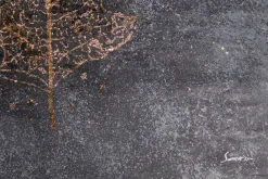 XXL Öl Gemälde 'Golden Oak Leaf' | Handgemaltes Unikat