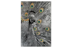 XXL Öl Gemälde 'Grace Peacock' | Handgemaltes Unikat