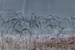XXL Öl Gemälde 'Grains of Vitality' | Handgemaltes Unikat