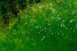 XXL Öl Gemälde 'Grüne Wiesenpracht' | Handgemaltes Unikat