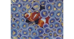 XXL Öl Gemälde 'Hidden Clownfish' | Handgemaltes Unikat
