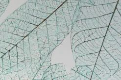 XXL Öl Gemälde 'Laced Nature' | Handgemaltes Unikat