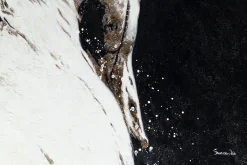 XXL Öl Gemälde 'Mystery Creature' | Handgemaltes Unikat