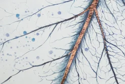 XXL Öl Gemälde 'Nature's Fascination' | Handgemaltes Unikat