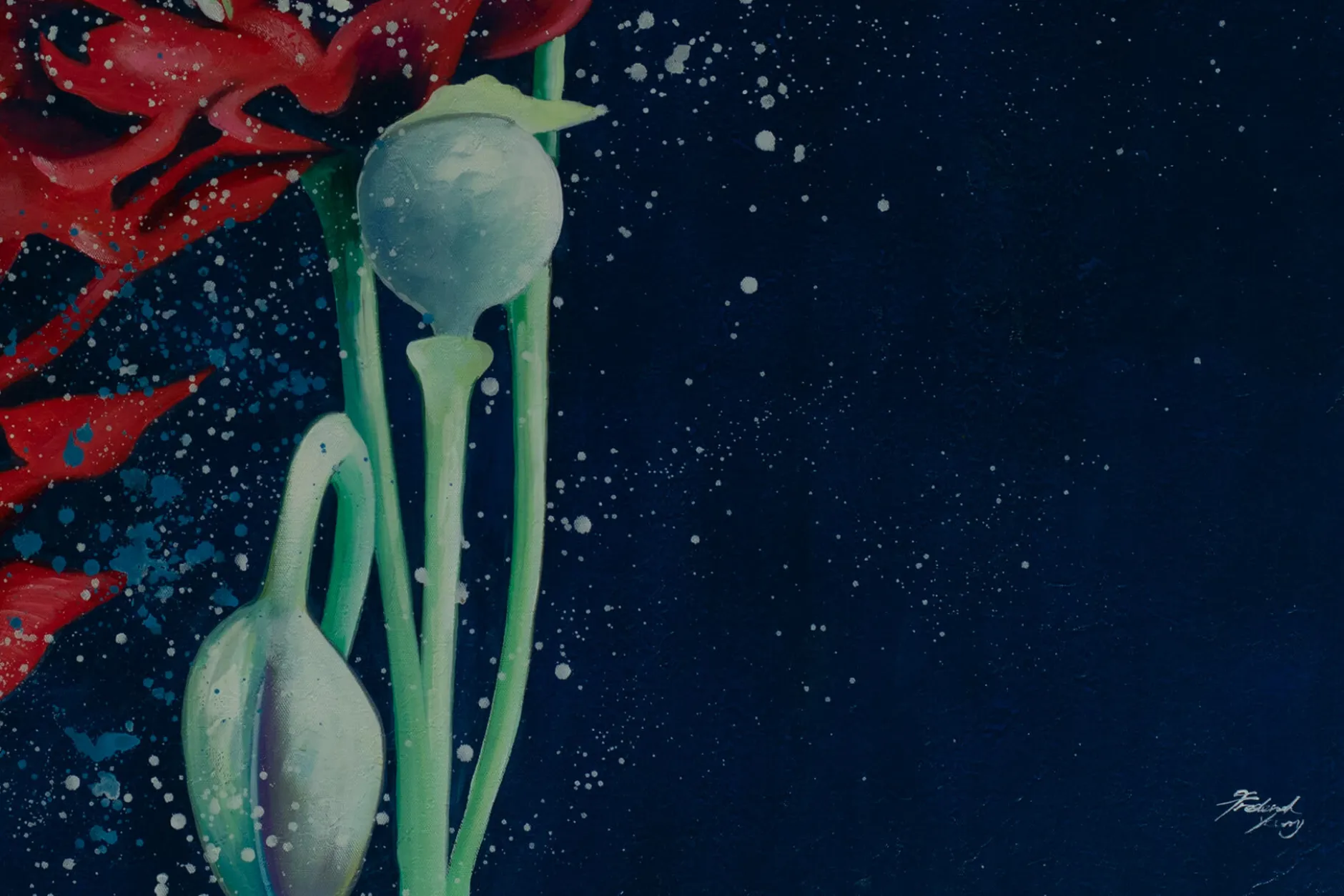 XXL Öl Gemälde 'Pristine Poppies' | Handgemaltes Unikat