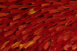 XXL Öl Gemälde 'Red Feather Dress' | Handgemaltes Unikat