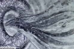 XXL Öl Gemälde 'Ring of Gravity' | Handgemaltes Unikat
