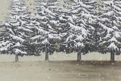 XXL Öl Gemälde 'Stiller Winterwald' | Handgemaltes Unikat