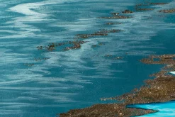 XXL Öl Gemälde 'Strand des Paradieses' | Handgemaltes Unikat