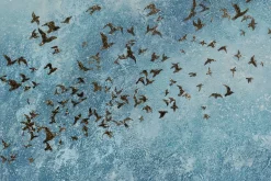 XXL Öl Gemälde 'Touch of Freedom' | Handgemaltes Unikat