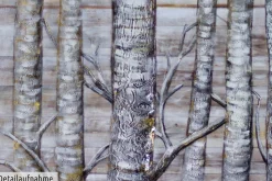 XXL Öl Gemälde 'Trees All Over' | Handgemaltes Unikat