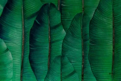 XXL Öl Gemälde 'Tropical Banana Leaves' | Handgemaltes Unikat