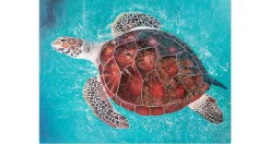XXL Öl Gemälde 'Turquoise Turtle' | Handgemaltes Unikat