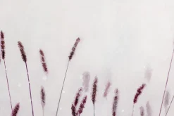 XXL Öl Gemälde 'Violettes Schilf' | Handgemaltes Unikat